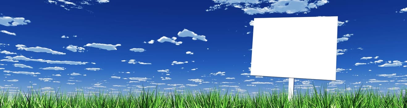 Blank Sign in the Grass 04