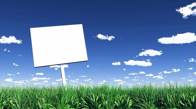 Blank Sign in the Grass 01