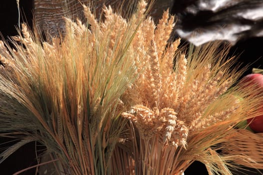 Two bunches of grain. Two bundles of grain.