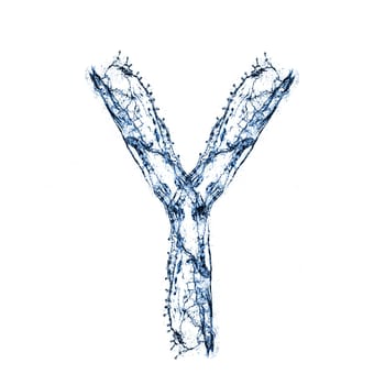 Y - Letter