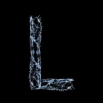 L - Letter