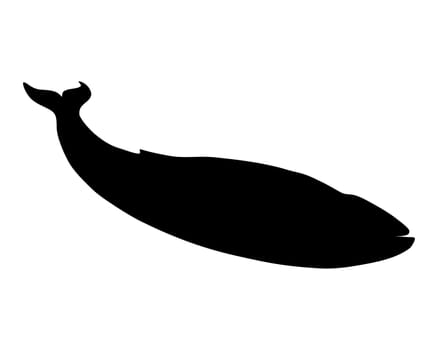 Blue Whale Silhouette