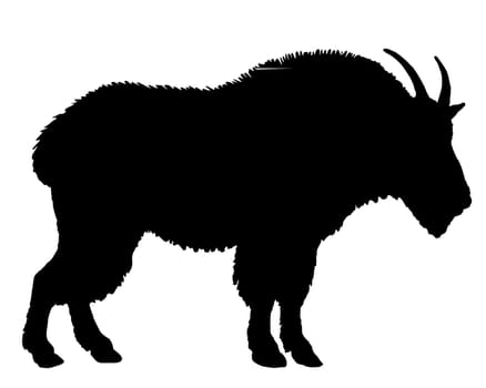 Mountain Goat Silhouette