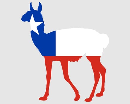 Guanaco Chile