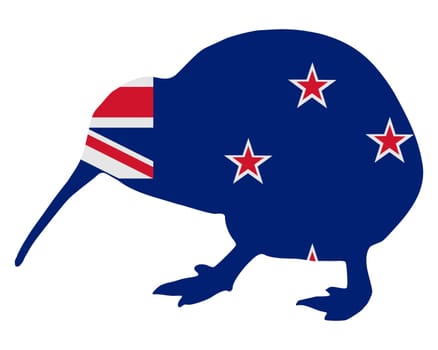New Zealand kiwi