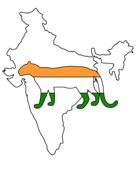 India Leopard