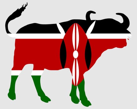 Kenya Buffalo