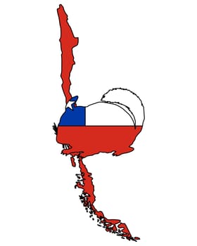 Chinchilla Chile