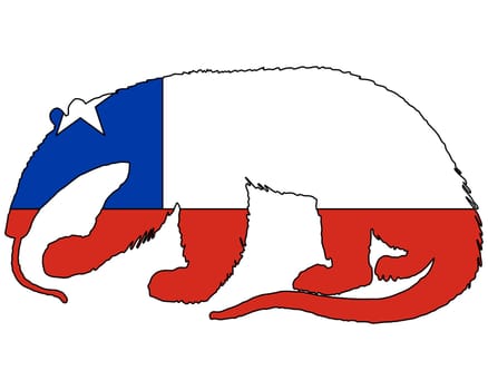 Anteater Chile