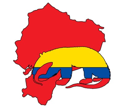 Anteater Ecuador