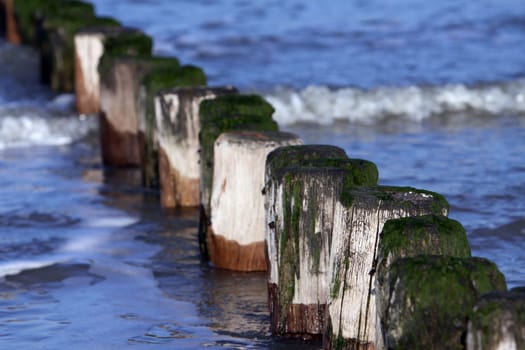 Groynes in the North Sea water