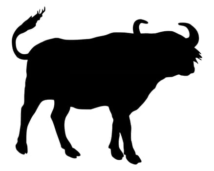 Cape buffalo silhouette