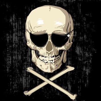 scarry humas skull