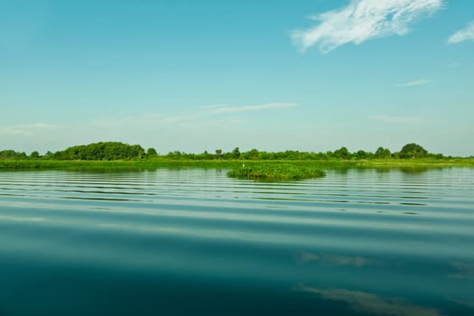 Calm morning on the lake