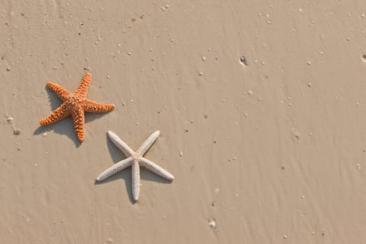 Couple of starfish on a tropical beach, tide coming in