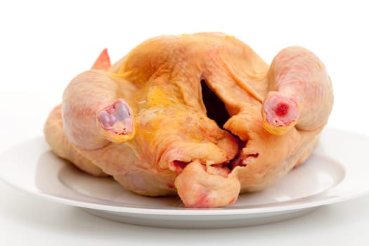 Chicken raw