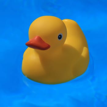 Plastic ducks