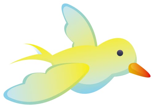 bird