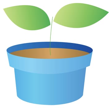 Flowerpots and seeding