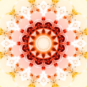 Colour Play Mandala 14