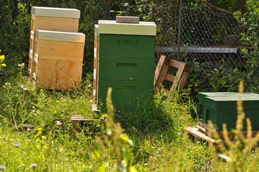 Beehive
