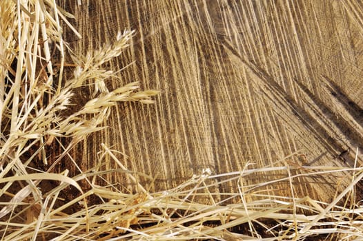 Detail of wooden cut texture and dry grass hay - frame