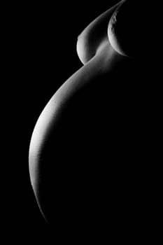 Silhouette of a Pregnant Woman
