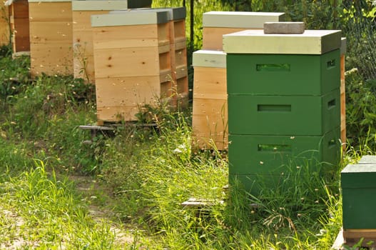 Beehive
