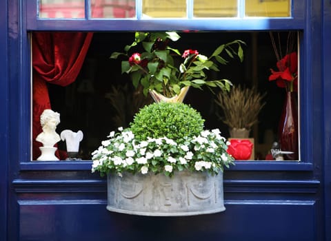 Flower window