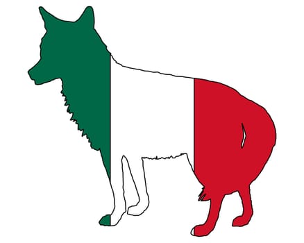 Coyote Mexico