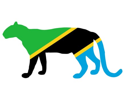 Tanzania Leopard
