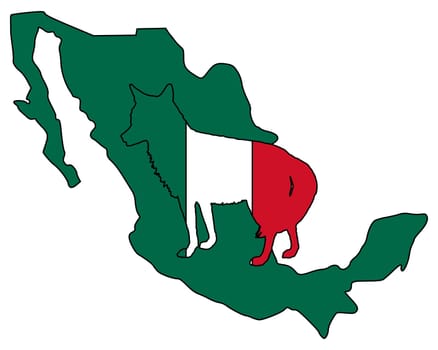 Coyote Mexico