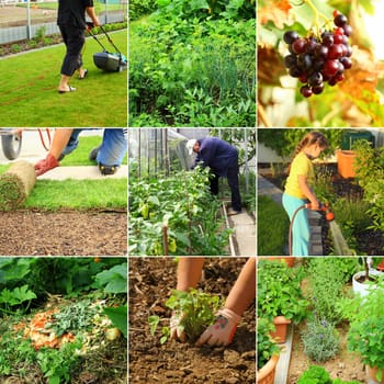 Gardening