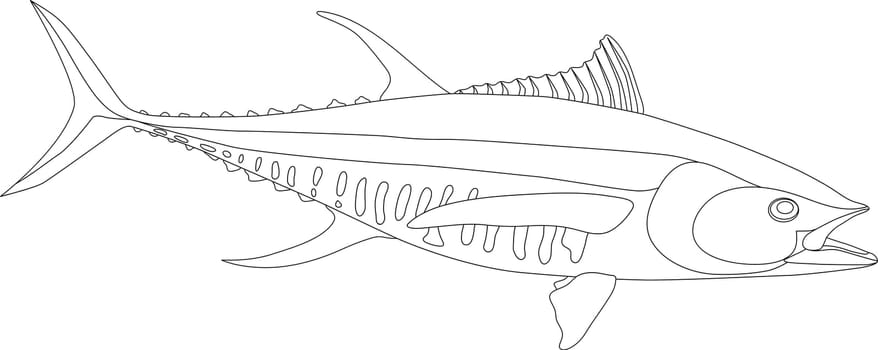 tuna