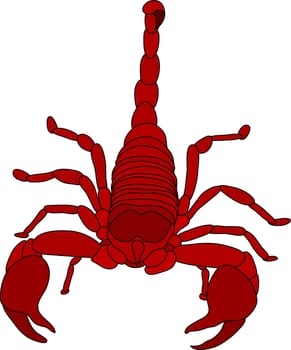 scorpion