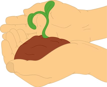 seed