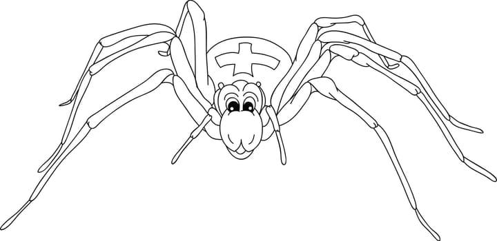 spider