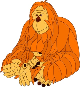 orangutan