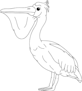 pelican
