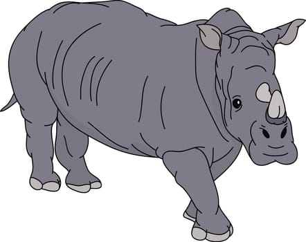 rhino