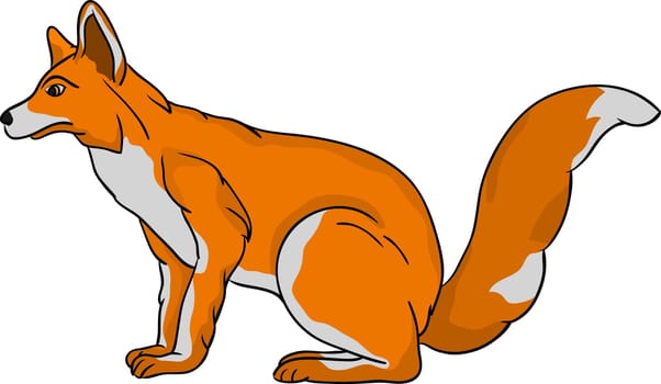 fox
