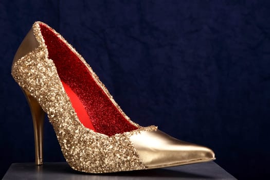 Gold Shoe Blue 06