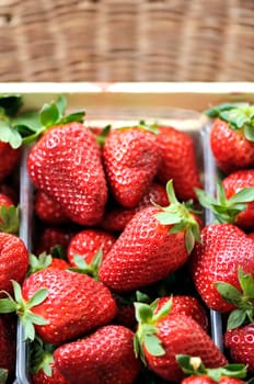 fresh strawberries