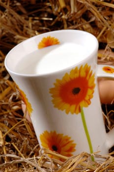 dairy