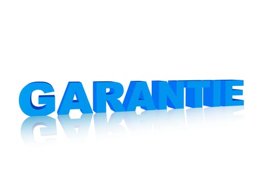 Warranty