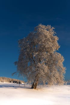 Wintertime.........