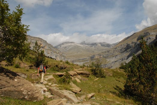 Hiking with a dog