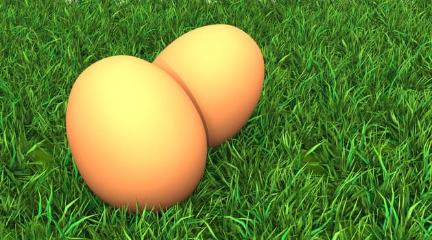 Two Yellow Eggs in the Grass - 01