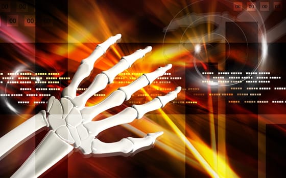 Hand bone
