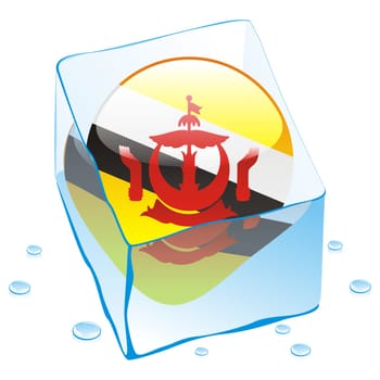 brunei flag frozen in ice cube